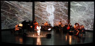 Ten Freedom Summers in Austria, Chicago & Guelph